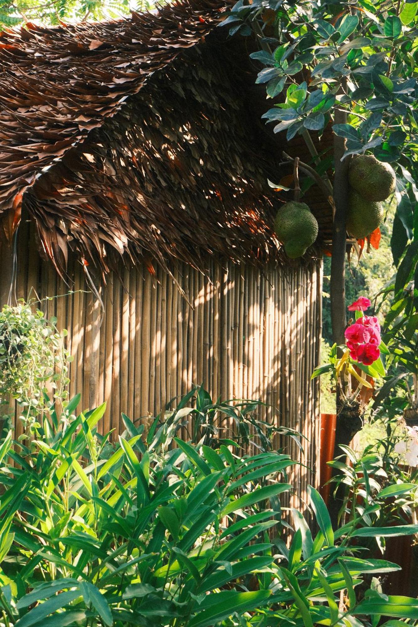 Siem Reap Homesteading Exterior foto